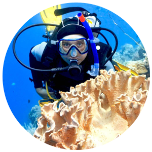 PADI Coral Reef Conservation Specialty